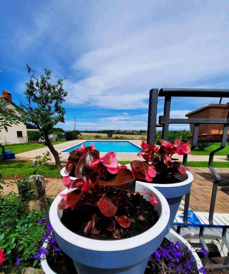Holiday House Sweet Home Umag Exteriér fotografie
